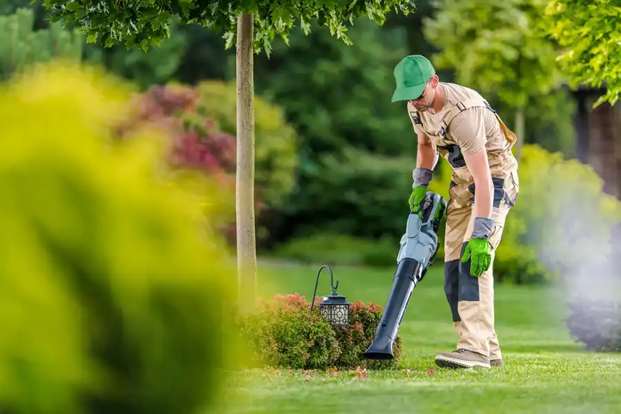 How To Clean A Backyard Hesperia, CA