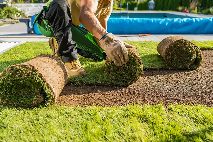 How long after installing sod can you walk on it in Hesperia, CA