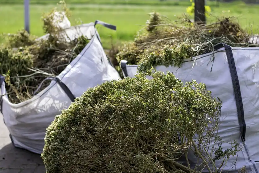 How to clear a yard full of weeds in Hesperia, CA