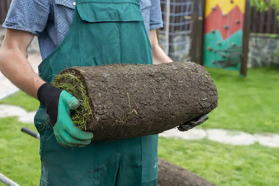 How to lay sod over existing lawn Hesperia, CA