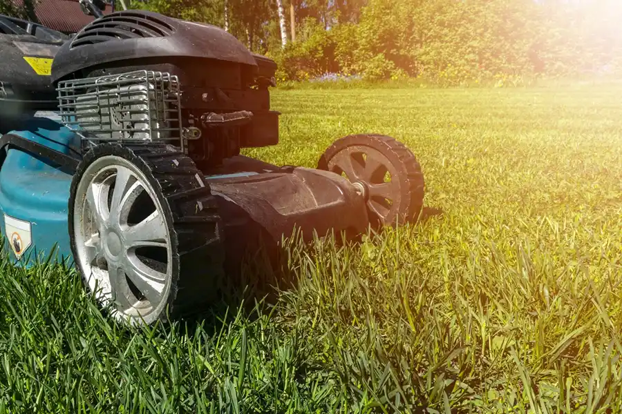 How to mow a lawn in Hesperia, CA