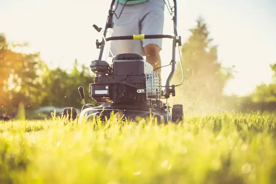 How to mow a lawn Hesperia, CA