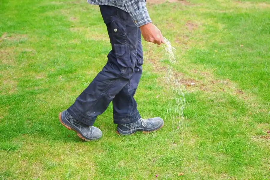 Efficient Lawn Fertilization in Hesperia, CA