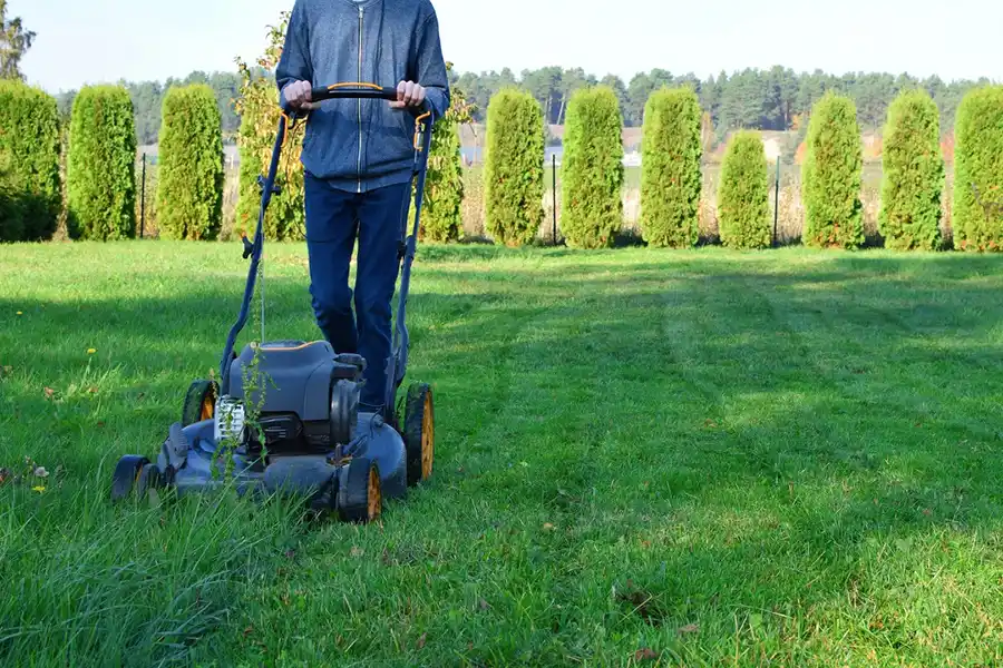 Efficient Lawn Mowing in Hesperia, CA