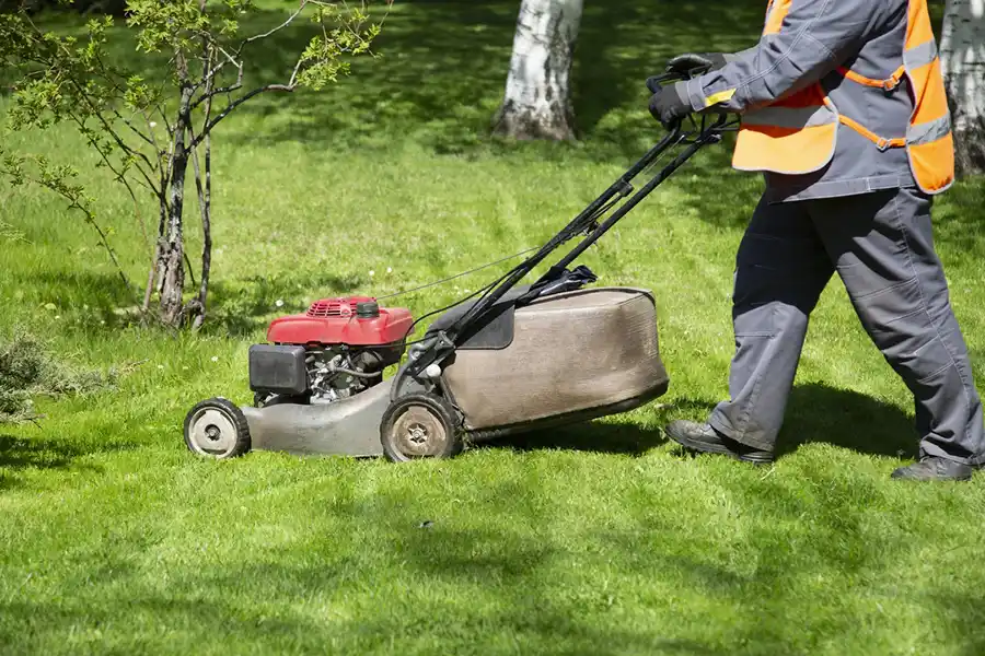 Reliable Lawn Mowing in Hesperia, CA