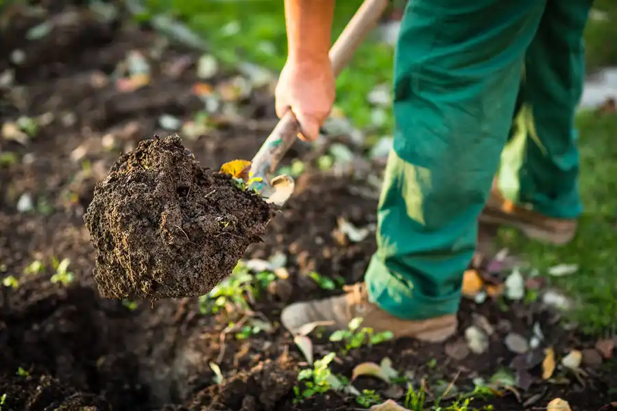 Reliable Mulching in Hesperia, CA