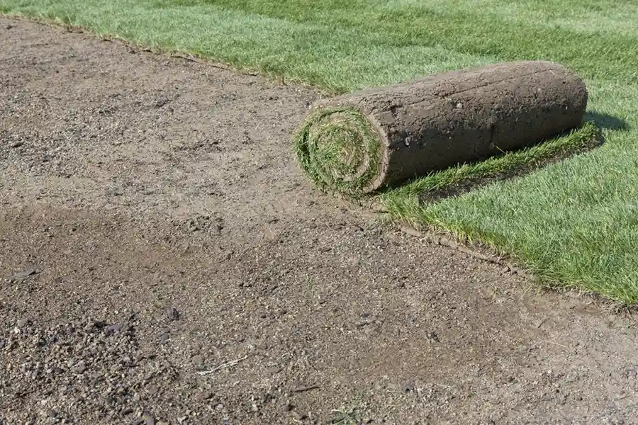 Efficient Sod Installation in Hesperia, CA