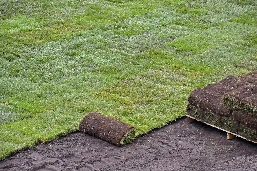 Best Sod Installation in Hesperia, CA