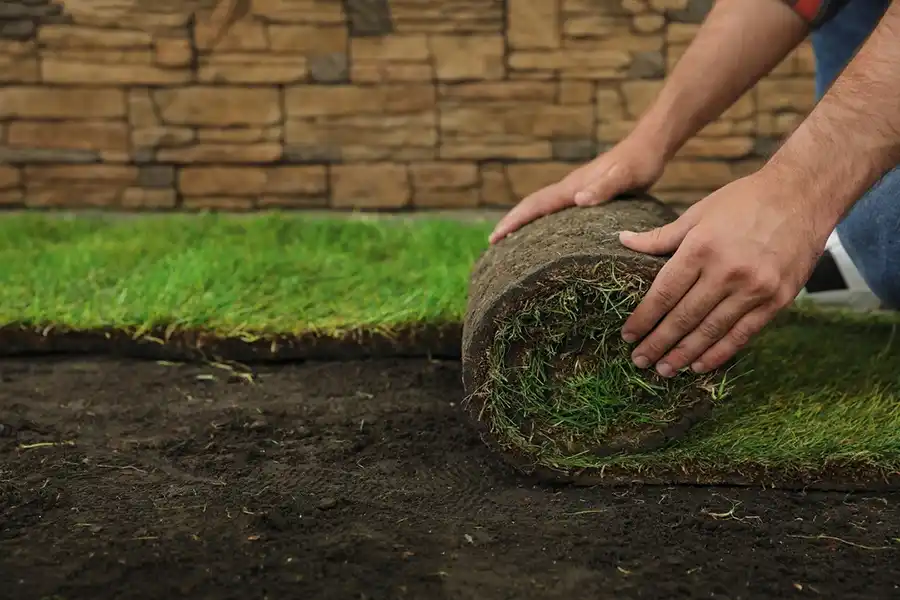 Reliable Sod Installation in Hesperia, CA