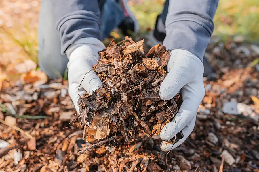 What does mulch do Hesperia, CA