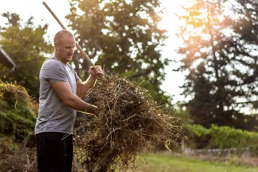 Efficient Yard cleanup in Hesperia, CA