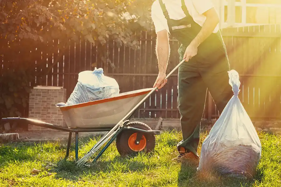 Best Yard cleanup in Hesperia, CA